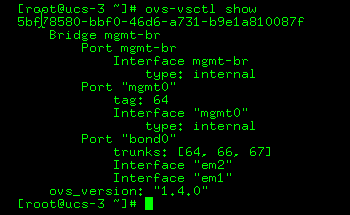 ovs-vsctl output